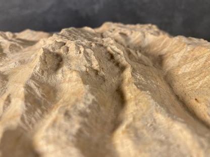 SUMMIT – Bergrelief Hochkönig - TreeDimension