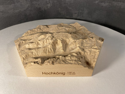 SUMMIT – Bergrelief Hochkönig - TreeDimension