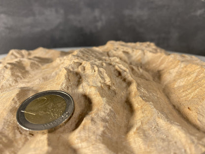 SUMMIT – Bergrelief Hochkönig - TreeDimension