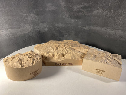 SUMMIT – Bergrelief Hoher Dachstein - TreeDimension