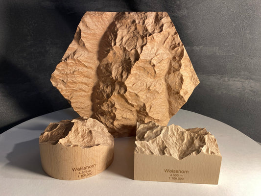 SUMMIT - Bergrelief Weisshorn - TreeDimension